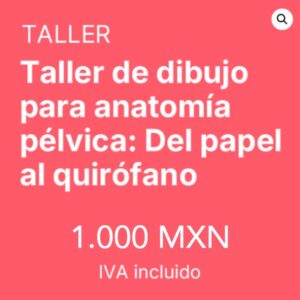 taller dibujo estudiantes