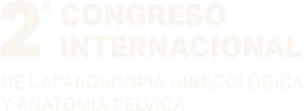 2do Congreso Internacional de Laparoscopia Ginecológica y Anatomía Pélvica