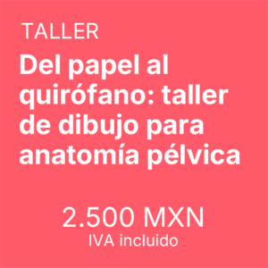 Del papel al quirófano: taller de dibujo para anatomía pélvica