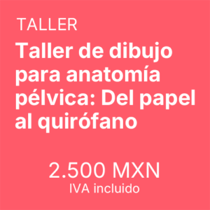 Taller de dibujo para anatomía pélvica: Del papel al quirófano